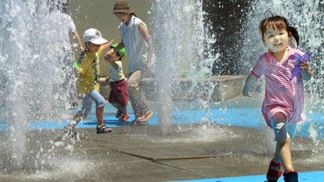 Researchers discover the immune system’s ‘fountain of youth’ - but it has a cost
