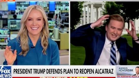 Fox News’ Peter Doocy once again the victim of fowl play as another rogue bird attacks him
