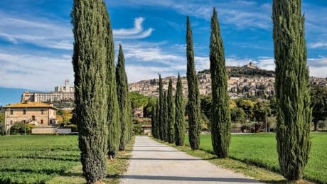 Mardi de la 19e semaine du temps ordinaire (Mt 18, 1-5, 10.12-14)
