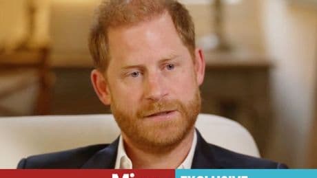 'Resentful' Prince Harry 'like a small child' as he mirrors Meghan Markle gesture