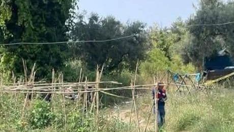Tarlasını korumaya gitti, cansız bedeni bulundu! 'Bölgemiz adeta yaban domuzlarının istilası altında'