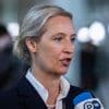 Le renseignement intérieur allemand suspend provisoirement le classement de l'AfD comme "extrémiste"