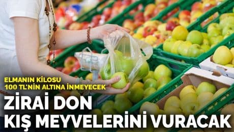 Zirai don kış meyvelerini vuracak: Elmanın kilosu 100 TL'nin altına inmeyecek