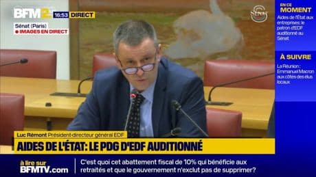 "Notre électricité sera plus compétitive", martèle le président-directeur d'EDF