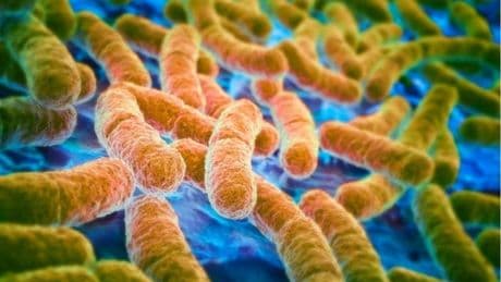 Crecen las tasas de cáncer colorrectal entre los jóvenes