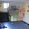 „Die Zerstörung war genau geplant“: Bilder zeigen verwüsteten Hörsaal nach Besetzung durch Palästina-Aktivisten