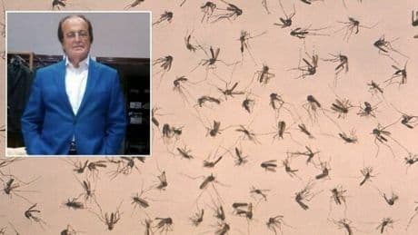 West Nile, oggi 2 morti: uno a Roma (di Latina dopo vacanza a Baia Domizia), l'altro a Caserta. Nel Lazio 16 nuovi casi, 2 in terapia intensiva