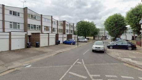 Three boys and woman killed in house fire in north London