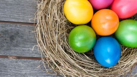 Zu Ostern - Die wichtigsten Fragen und Antworten zum Ei