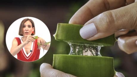 Boticaria García, nutricionista: ''Si eres de los que ante una quemadura se aplica una hoja de aloe vera en la piel, deja de hacerlo por muy natural que te parezca''