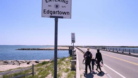 Endurance swimmer to attempt first-ever swim around Martha's Vineyard ahead of 'Jaws' anniversary
