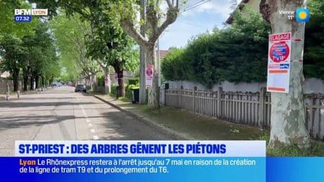 "Je vais aller chercher la tronçonneuse": des piétons gênés par les arbres à Saint-Priest