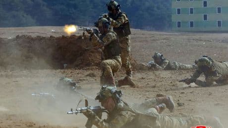 Guerre en Ukraine: environ 600 soldats nord-coréens tués au combat, affirme un parlementaire sud-coréen