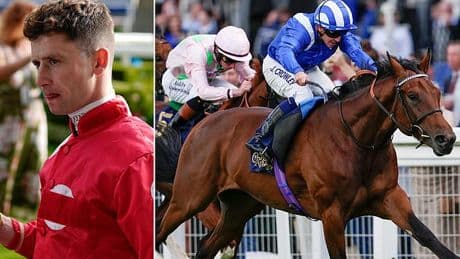 Horse dies and jockey is hospitalised after rough fall at Ascot as stewards postpone enquiry into tragic incident