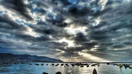 Lerici, il ritorno dell’ostrica