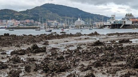 Las mareas vivas dejan al descubierto la costa de Bizkaia