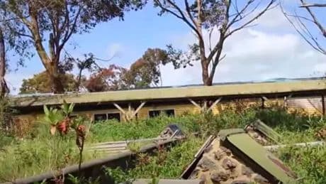 Inside abandoned wildlife park where eerie 'ghost shark' left to rot