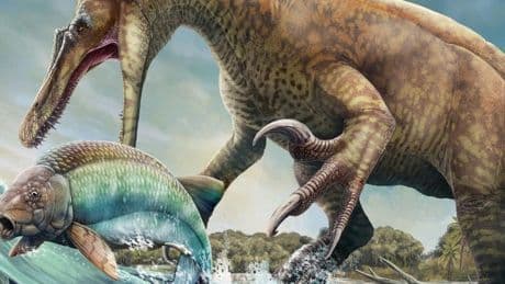 De un hueso a 'Parque Jurásico': así se resucita a un dinosaurio