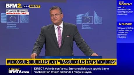 Accord UE-Mercosur: les clauses de sauvegarde pourront être déclenchées par un seul État