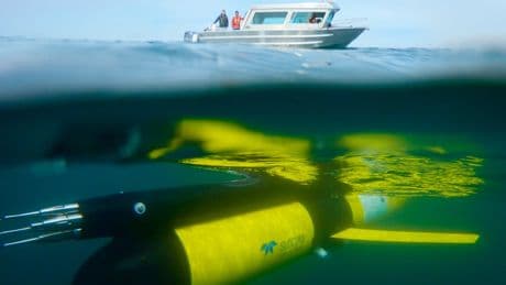 Worrying drop in ocean oxygen documented off B.C. coast