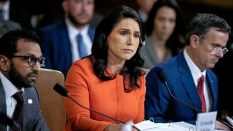 Tulsi Gabbard, la cheffe du renseignement américain, a un problème de mot de passe