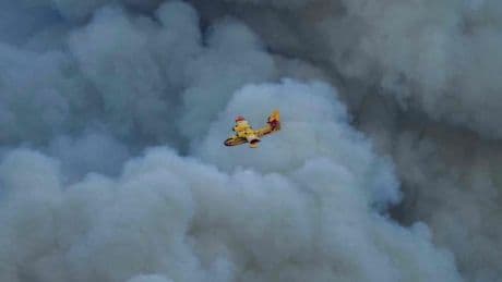 „Größtes Feuer seit 1949“ – Dramatische Bilanz bei Flächenbrand in Frankreich