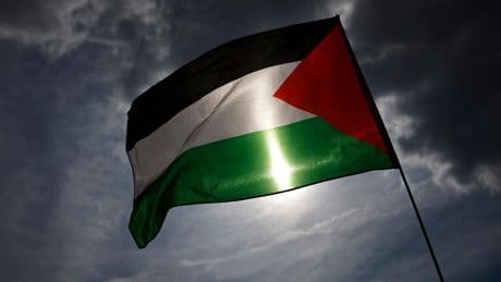 À Chalon-sur-Saône, le maire bannit le drapeau palestinien, «symbole des émeutiers»