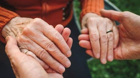Fountain of Youth drug combination ‘could protect against ageing’, study finds