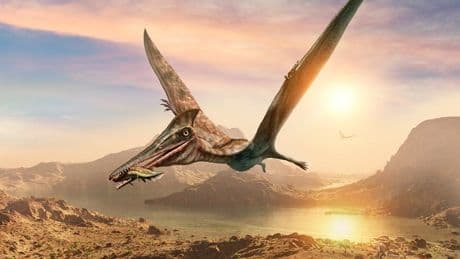 Überraschende Entdeckung: 209-Millionen-Jahre-alte Flugsaurier-Spezies aufgetaucht