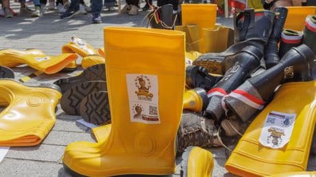 Agricoltori in piazza a Bruxelles: no al taglio del 20% dei fondi Ue