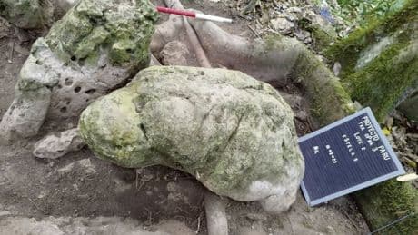 « Les Mayas n’ont pas disparu » de Chloé Andrieu : au-delà des ruines, une culture bien vivante