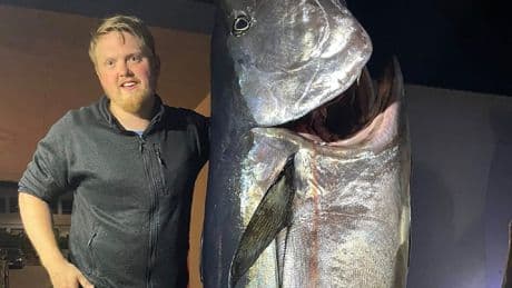 Fang wiegt 280 Kilogramm - Angler kämpft 2,5 Stunden mit diesem Fisch