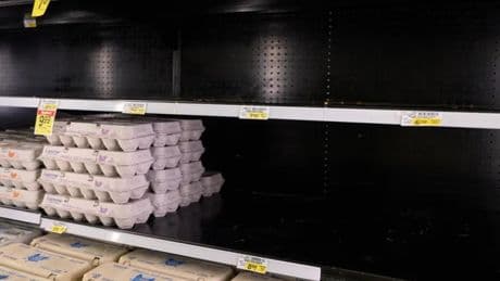 Campaña radical en los supermercados españoles: &quot;No compres estos huevos&quot;