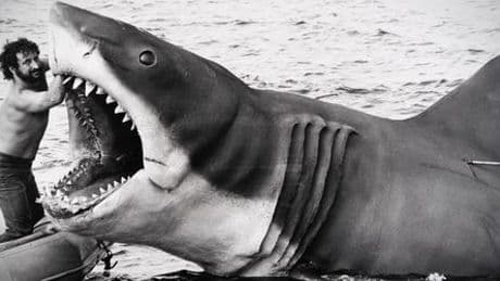 »Der weiße Hai«: Doku über Dreharbeiten zeigt, warum Steven Spielberg fast gefeuert wurde