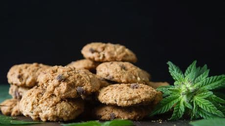 Kinder (5) in Klinik - Lebensgefährlich! Oma gibt Enkeln Cannabis-Kekse