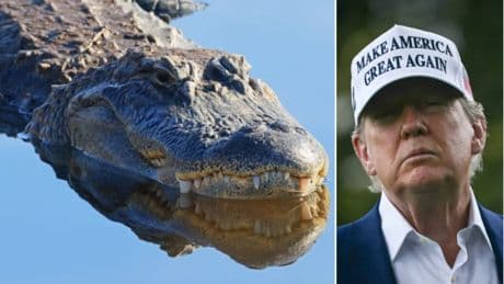 ‘Alligator Alcatraz’ shows Trump is just a pound-shop Bond villain