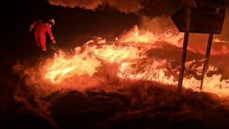 Spanien: Waldbrände zerstören Fläche so groß wie London