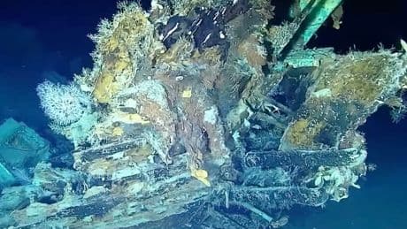 Scientists think they’ve found 300-year-old shipwreck with £15bn treasure on board