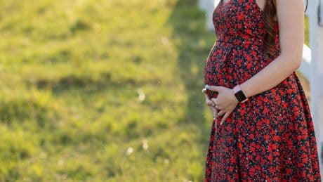 Face à la «marée descendante» de la dénatalité, une note appelle à «travailler plus et automatiser davantage»