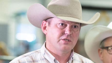 'Time to put emotions aside': Alberta's case against retaliatory tariffs