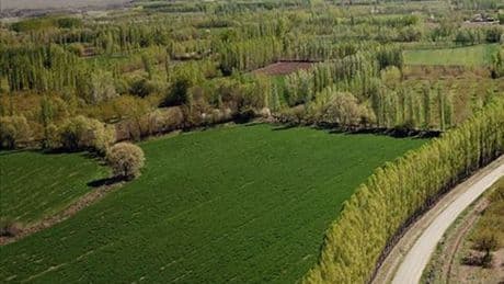 2B arazi nedir?