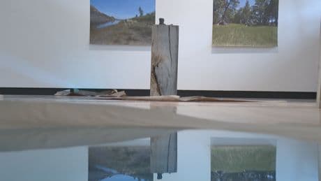 Southern Alberta Art Gallery celebrates summer ahead of 50th year