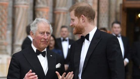 ’Medewerkers Charles en Harry in het geheim bijeen’