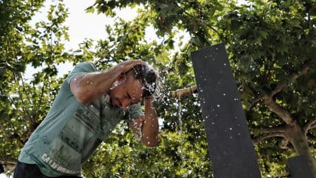 España se prepara para otra semana de calor extremo: hasta 43 grados en varias regiones