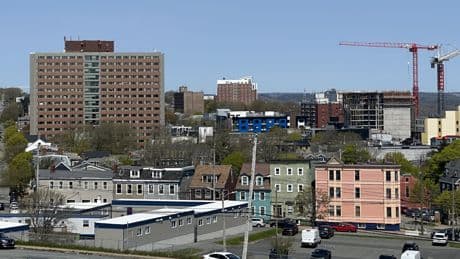 ‘I just don’t like it’: Living the high life in Halifax and why not everyone is a fan