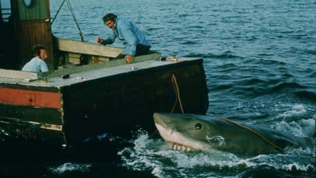 Als Spielberg fast baden ging: Daa-dam, Daa-dam: 50 Jahre "Der weiße Hai"