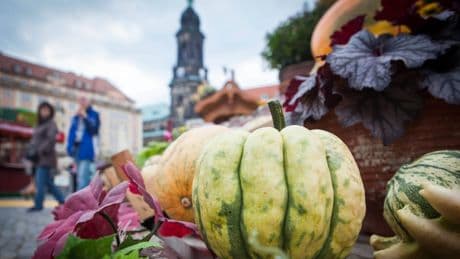 Herbstmarkt Dresden 2025 | Termine, Öffnungszeiten & Live-Programm