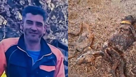 'El Patilla', el cazador pacense "con problemas de adicción" que dejó morir de hambre a 32 perros en su finca de Azuaga