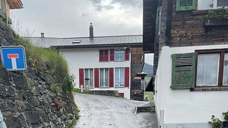 In Schweizer Bergdorf - Kuhherde trampelt Frau (91) tot