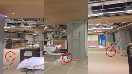 Graban a una rata dentro de las obras del nuevo Camp Nou, en la zona en que estará el área VIP